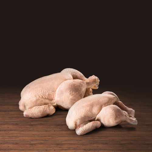 Poulet bio : tout savoir de l'élevage à l'abattage