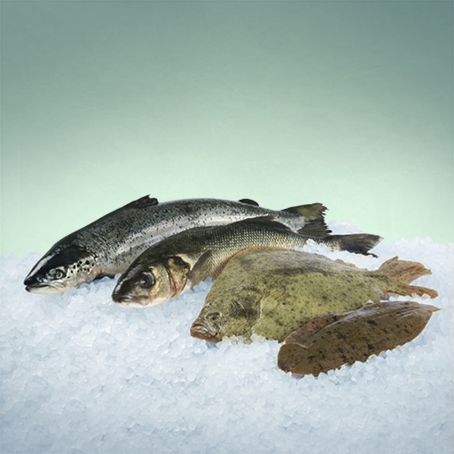 Poisson d'eau salée