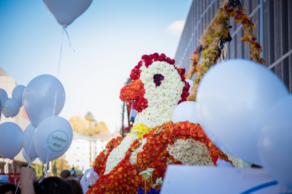 Fête des Vendanges 2017