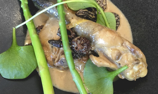 Fricassée de volaille au vin jaune, morilles et asperges par Frank Lapôtre